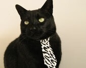 斯密斯：全黑队的“快节奏指挥官”，引领攻势如风