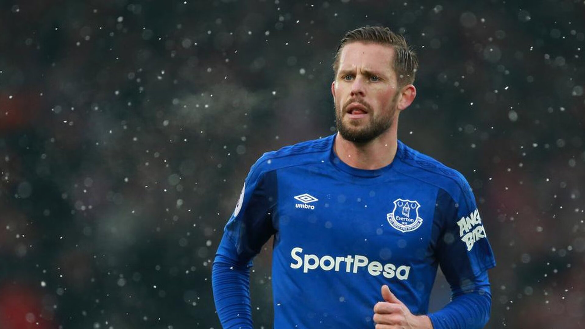 荷兰仰泳新星闪亮登场，2022年生儿子生肖